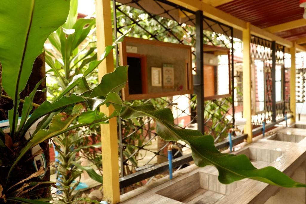 Tropical Breeze Hostel Cebu - Cebu Center Exteriör bild